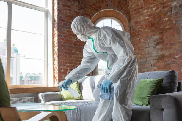 Best Mold Remediation for Healthcare Facilities  in Collins, MS