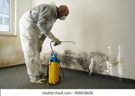 Collins, MS Mold Removal Services Company